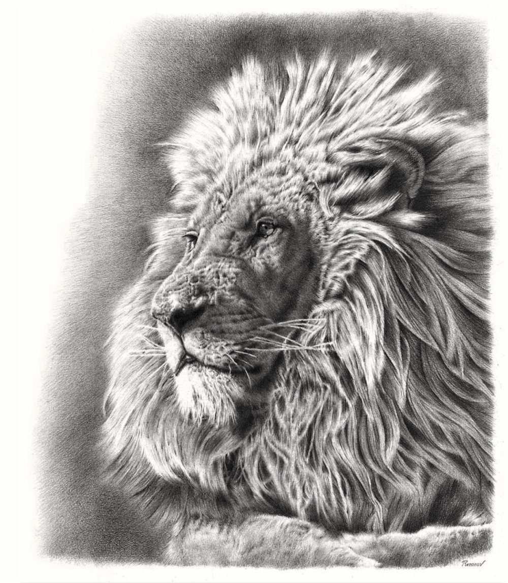 image de Le Roi Lion - Artiste: Casey 'Remrov' Vormer.